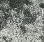 Dark Silver